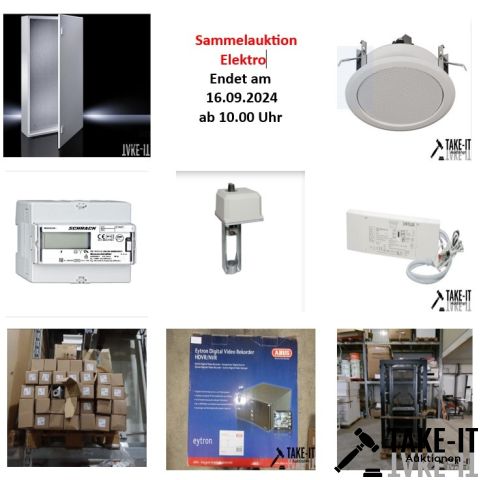 Sammelauktion-Elektro